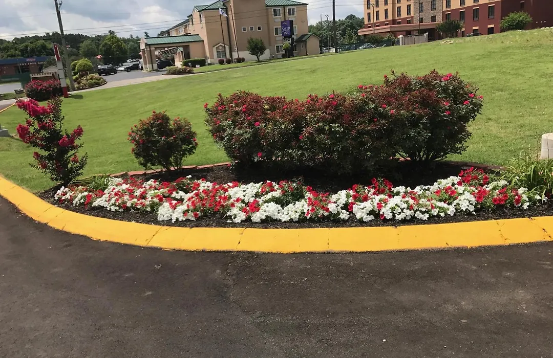 Lotus Inn And Suites Nashville-1
